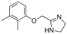 CAS#: 67400-54-8， 4,5-Dihydro-2-[(2,3-Dimethylphenoxy)Methyl]-1H-Imidazole