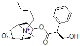 CAS#: 7182-53-8， (S)-alpha-(Hydroxymethyl)Benzeneacetic Acid (1beta,2alpha,4alpha,5beta,7alpha)-9-Butyl-9-Methyl-3-Oxa-9-Azoniatricyclo[3.3.1.02,4]Nonane-7-Yl Ester