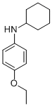 CAS#: 721-91-5， N-Cyclohexyl-4-Ethoxyaniline