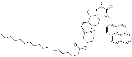 CAS#: 72535-39-8， [(3S,8S,9S,10R,13S,14S,17R)-10,13-Dimethyl-17-[(2S)-1-Oxo-1-(Pyren-1-Ylmethoxy)Propan-2-Yl]-2,3,4,7,8,9,11,12,14,15,16,17-Dodecahydro-1H-Cyclopenta[a]Phenanthren-3-Yl] (E)-Octadec-9-Enoate