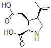 CAS#: 73209-05-9， (2R,3S,4S)-rel-2-Carboxy-4-(1-Methylethenyl)-3-Pyrrolidineacetic Acid