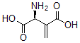 CAS#: 73650-42-7， (2S)-2-Amino-3-Methylidenebutanedioic Acid