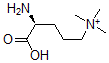 CAS#: 73970-11-3， [(4S)-4-Amino-5-Hydroxy-5-Oxopentyl]-Trimethylazanium