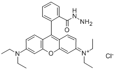结构式 CAS# 74317-53-6, 玫瑰精 B 酰肼