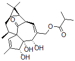 CAS#: 74690-91-8， 20-O-Isobutyrylingenol