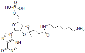 CAS#: 75204-35-2， [(4R,6R)-2-[3-(6-Aminohexylamino)-3-Oxopropyl]-2-Methyl-6-(6-Oxo-3H-Purin-9-Yl)-3a,4,6,6a-Tetrahydrofuro[4,3-d][1,3]Dioxol-4-Yl]Methyl Dihydrogen Phosphate