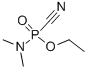 CAS#: 77-81-6， Dimethylamidoethoxyphosphoryl cyanide