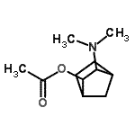 CAS#: 779268-13-2， 3-(Dimethylamino)bicyclo[2.2.1]hept-2-yl acetate