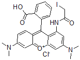 CAS#: 81235-33-8， Tetramethylrhodamine Iodoacetamide