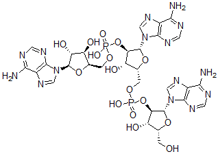 CAS#: 81371-57-5， beta-D-Xylo-adenylyl-(2'-5')-beta-D-xylo-adenylyl-(2'-5')-beta-D-xylo-Adenosine