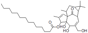 CAS#: 83036-83-3， 3-O-Tetradecanoylingenol