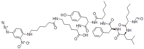 CAS#: 84311-50-2， N-Formyl-norleucyl-leucyl-phenylalanyl-norleucyl-tyrosyl-N-epsilon-(6-(4'-azido-2'-nitrophenylamino)hexanoyl)lysine