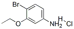structure of CAS# 846023-33-4, 4-Bromo-3-Ethoxy-Benzenamine Hydrochloride (1:1);4-Amino-2-(Ethoxy)Bromobenzene Hydrochloride