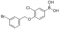 结构式 CAS# 849062-25-5, B-[4-[(3-溴苯基)甲氧基]-3-氯苯基]-硼酸