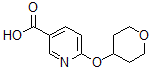 structure of CAS# 886851-55-4, 6-[(Tetrahydro-2H-Pyran-4-Yl)Oxy]-3-Pyridinecarboxylic Acid;6-[(Tetrahydro-2H-Pyran-4-Yl)Oxy]Pyridine-3-Carboxylic Acid, 3-Carboxy-6-[(Tetrahydro-2H-Pyran-4-Yl)Oxy]Pyridine, 4-[(5-Carboxypyridin-2-Yl)Oxy]Tetrahydro-2H-Pyran;2-(Tetrahydropyran-4-Yloxy)Pyridine-5-Carboxylic Acid;6-(Tetrahydro-2H-Pyran-4-Yloxy)Nicotinic Acid 97%
