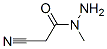 CAS 登录号：89124-87-8， 2-氰基-乙酸 1-甲基酰肼