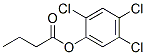 CAS#: 90842-37-8， (2,4,5-Trichlorophenyl) butanoate