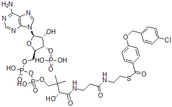 CAS#: 93604-15-0， 4-(4'-Chlorobenzyloxy)Benzoyl-Coenzyme A
