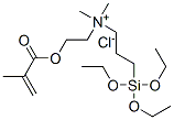 CAS#: 94134-22-2， Dimethyl[2-[(2-Methyl-1-Oxoallyl)Oxy]Ethyl][3-(Triethoxysilyl)Propyl]Ammonium Chloride