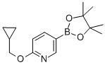 结构式 CAS# 947191-69-7, 6-环丙基甲氧基吡啶-3-硼酸频哪醇酯