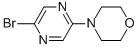 CAS#: 955050-08-5， 4-(5-Bromo-2-Pyrazinyl)-Morpholine