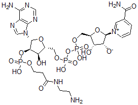CAS#: 95754-66-8， 2'-O-(N-(2-Aminoethyl)carbamoylethyl)phosphono-NAD