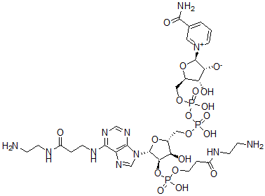 CAS#: 95754-68-0， 2'-(O)-(N-(2-Aminoethyl)Carbamoylethyl)Phosphono-N(6)-(N-(2-Aminoethyl)Carbamoylethyl)-NAD
