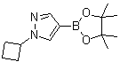 1-Cyclobutyl-1H-pyrazole-4-boronic acid pinacol ester molecular structure (CAS 1002309-48-9)