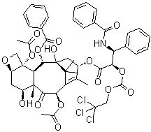 2'-O-[(2,2,2,-Trichloroethyl)oxy]carbonylpaclitaxel molecular structure (CAS 100431-55-8)