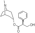 L-Hyoscyamine molecular structure (CAS 101-31-5)