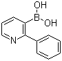 结构式 CAS# 1029654-14-5, (2-苯基-3-吡啶基)硼酸