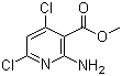 Methyl 2-amino-4,6-dichloropyridine-3-carboxylate molecular structure (CAS 1044872-40-3)