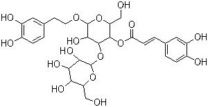 Plantamajoside molecular structure (CAS 104777-68-6)