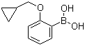 结构式 CAS# 1050510-36-5, 2-(环丙基甲氧基)苯硼酸