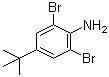 2,6-Dibromo-4-tert-butylaniline molecular structure (CAS 10546-67-5)