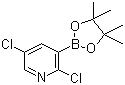 structure of CAS# 1073371-98-8, 2,5-Dichloropyridine-3-boronic acid pinacol ester