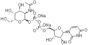 Uridine 5'-(trihydrogen diphosphate) P'-[2-(acetylamino)-2-deoxy-alpha-D-galactopyranosyl] ester disodium salt molecular structure (CAS 108320-87-2)