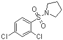 1-[(2,4-Dichlorophenyl)sulfonyl]pyrrolidine molecular structure (CAS 1087640-35-4)