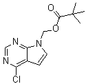 (4-Chloro-7H-pyrrolo[2,3-d]pyrimidin-7-yl)methyl pivalate molecular structure (CAS 1146629-75-5)