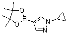 1-Cyclopropyl-4-(4,4,5,5-tetramethyl-1,3,2-dioxaborolan-2-yl)-1H-pyrazole molecular structure (CAS 1151802-22-0)