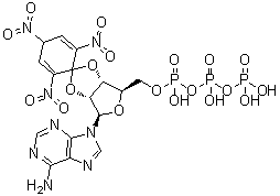 2',3'-O-(2,4,6-Trinitro-2,5-cyclohexadien-1-ylidene)adenosine 5'-(tetrahydrogen triphosphate) molecular structure (CAS 120360-48-7)