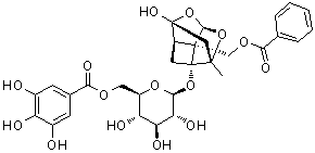 6'-O-Galloyl paeoniflorin molecular structure (CAS 122965-41-7)