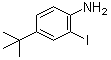 structure of CAS# 128318-63-8, 2-Iodo-4-tert-butylaniline