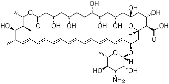 两性霉素 B分子结构 (CAS 1397-89-3)