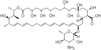 Nystatin molecular structure (CAS 1400-61-9)