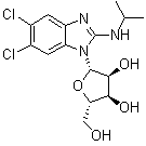 structure of CAS# 176161-24-3, Maribavir;1263W94; BW 1263W94; GW 257406X; 5,6-Dichloro-N-(1-methylethyl)-1-beta-L-ribofuranosyl-1H-benzimidazol-2-amine