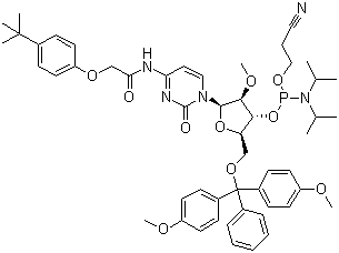 structure of CAS# 179486-26-1, 5'-O-(4,4-Dimethoxytrityl)-N-[[4-(tert-butyl)phenoxy]acetyl]-2'-O-methylcytidine-3'-(2-cyanoethyl-N,N-diisopropyl)phosphoramidite;5'-O-DMT-2'-O-Me-rC(N-tac)-3'-CEDPA