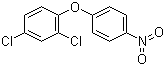Nitrofen molecular structure (CAS 1836-75-5)