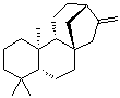 (-)-Phyllocladene molecular structure (CAS 20070-61-5)