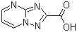 [1,2,4]Triazolo[1,5-a]pyrimidine-2-carboxylic acid molecular structure (CAS 202065-25-6)
